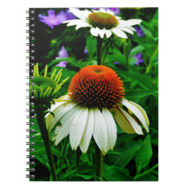 Cuaderno Flores de Cono blancas y Naranjas