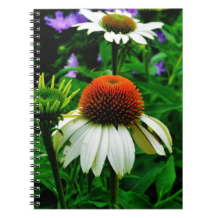 Cuaderno Flores de Cono blancas y Naranjas