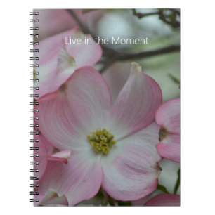 Cuaderno Flores de Cornejo Rosa (mi fotografía)