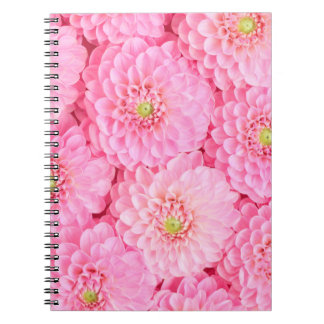 Cuaderno Flores de dalia rosada. Vista superior.