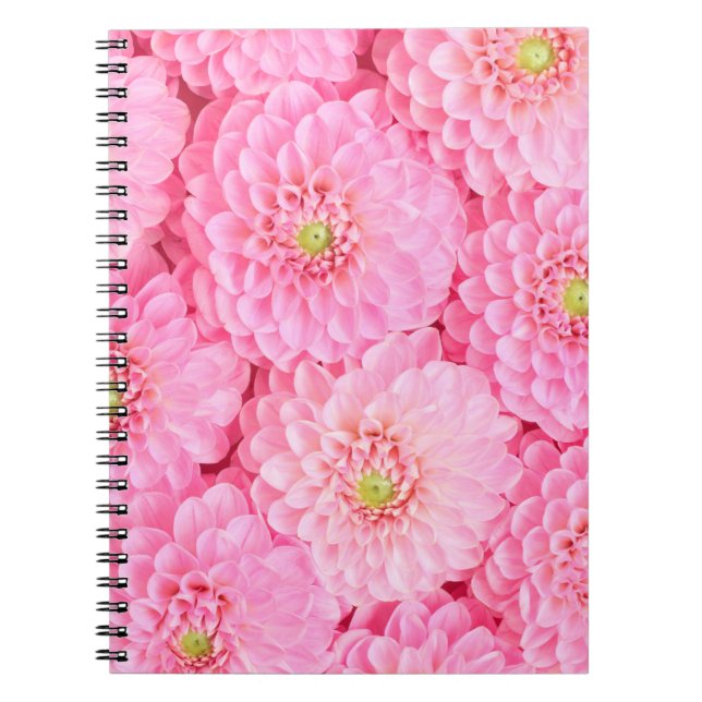 Cuaderno Flores de dalia rosada. Vista superior.  (Frente)
