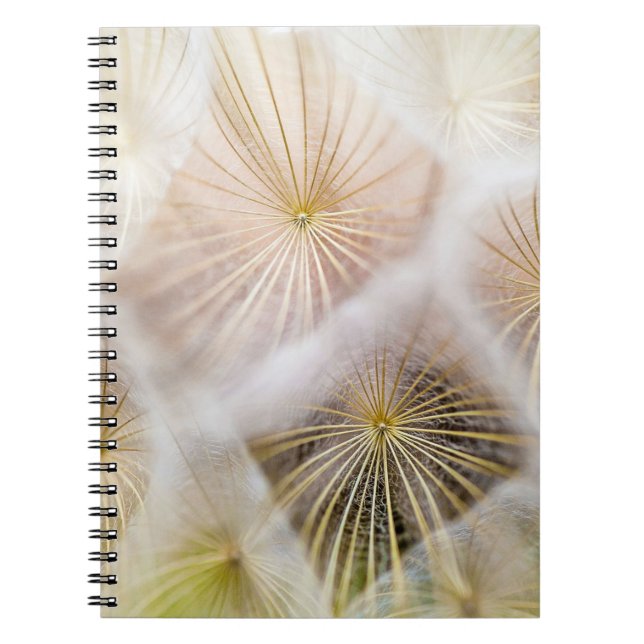 Cuaderno Flores de dientes de león blanco (Frente)