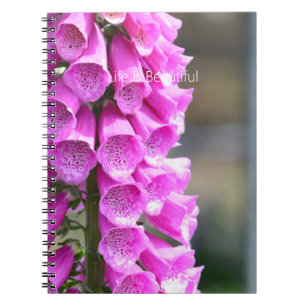 Cuaderno Flores de Digitalis Rosa (mi fotografía)