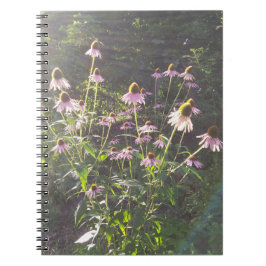Cuaderno Flores de Echinacea al Sol