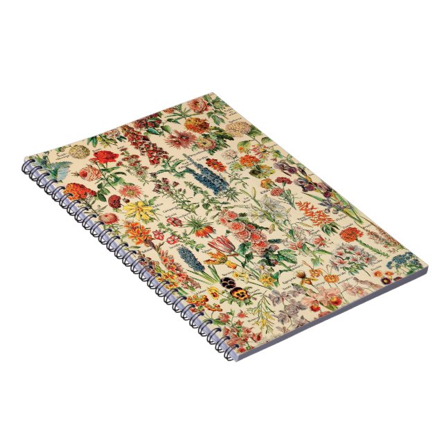 Cuaderno Flores de época de Adolphe Millot (Lado Derecho)