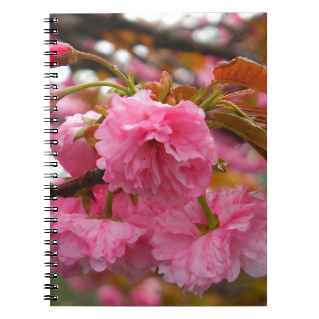 Cuaderno Flores de flores de cerezo rosado caliente (Frente)