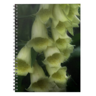 Cuaderno Flores de Foxglove Blancas Creamy