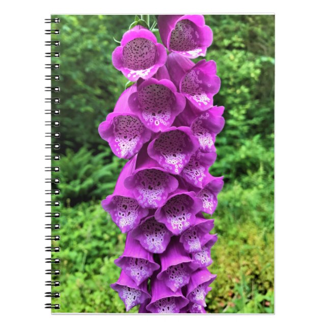Cuaderno Flores de Foxglove, Oregón (Frente)