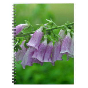 Cuaderno Flores de foxglove púrpura