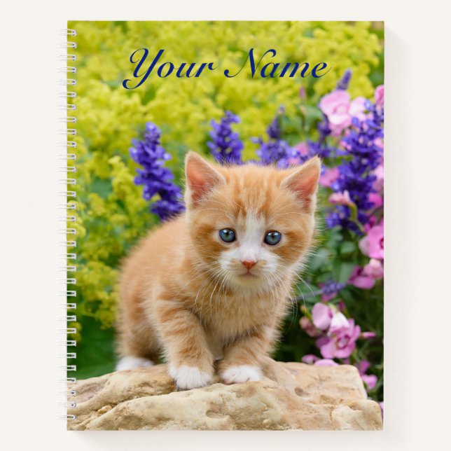 Cuaderno Flores de gatito de ginger blanqueadas y esponjosa (Anverso)