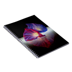 CUADERNO FLORES DE GLORIA MAÑANA
