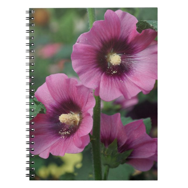 Cuaderno Flores de hibisco morado (Frente)