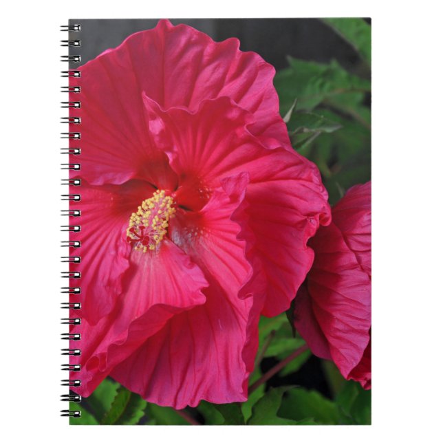 Cuaderno Flores de hibiscos rosas (Frente)