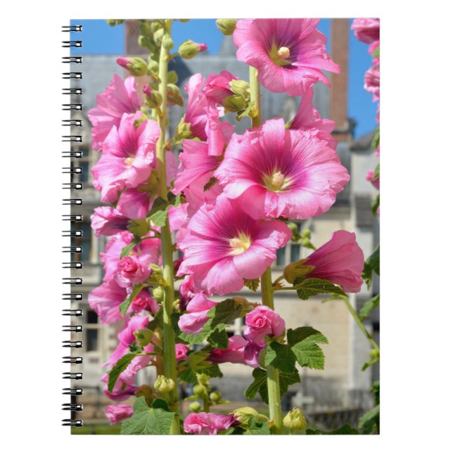 Cuaderno Flores de hollyhocks rosa pegatina cuadrado de pos (Frente)