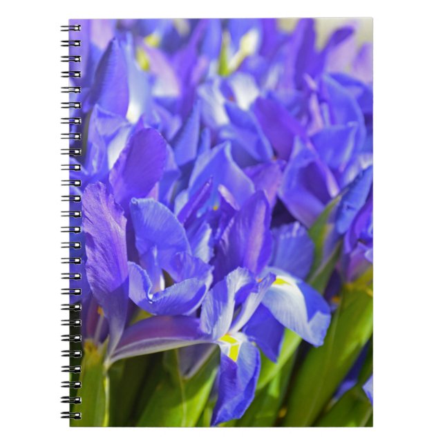 Cuaderno Flores de iris (Frente)