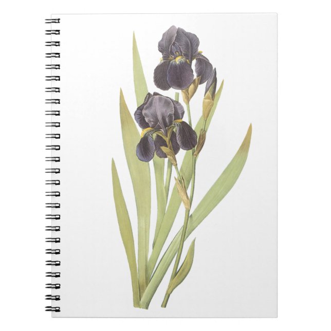 Cuaderno Flores de iris morado (Frente)