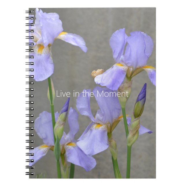 Cuaderno Flores de Iris Morado (mi fotografía) (Frente)