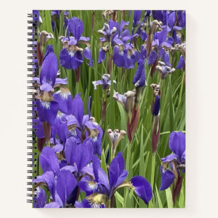 Cuaderno Flores de Iris Morado Naturaleza Plantas Fotografí