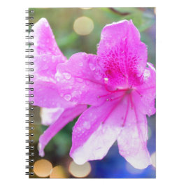 Cuaderno flores de jardín rosadas bonitos. Foto botánica fl