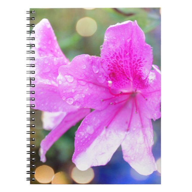 Cuaderno flores de jardín rosadas bonitos. Foto botánica fl (Frente)