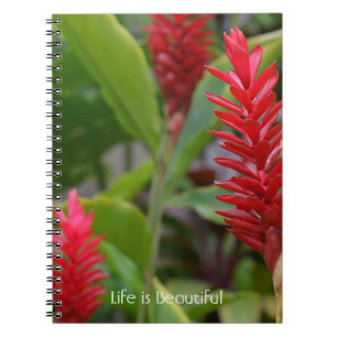 Cuaderno Flores de Jengibre Rojo Kauai (mi fotografía)