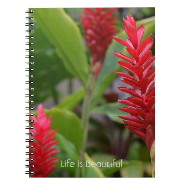 Cuaderno Flores de Jengibre Rojo Kauai (mi fotografía) (Frente)