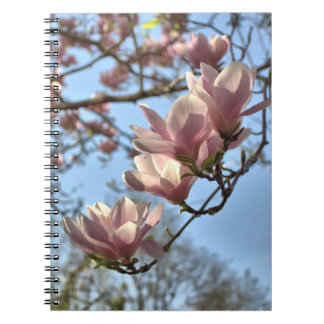 Cuaderno Flores de la magnolia en primavera