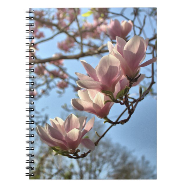 Cuaderno Flores de la magnolia en primavera (Frente)