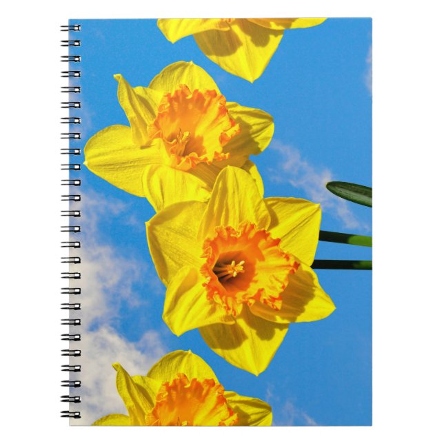 Cuaderno Flores de la Medalla de Oro de Daffodils (Frente)