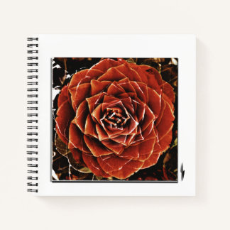 Cuaderno Flores de la Vida
