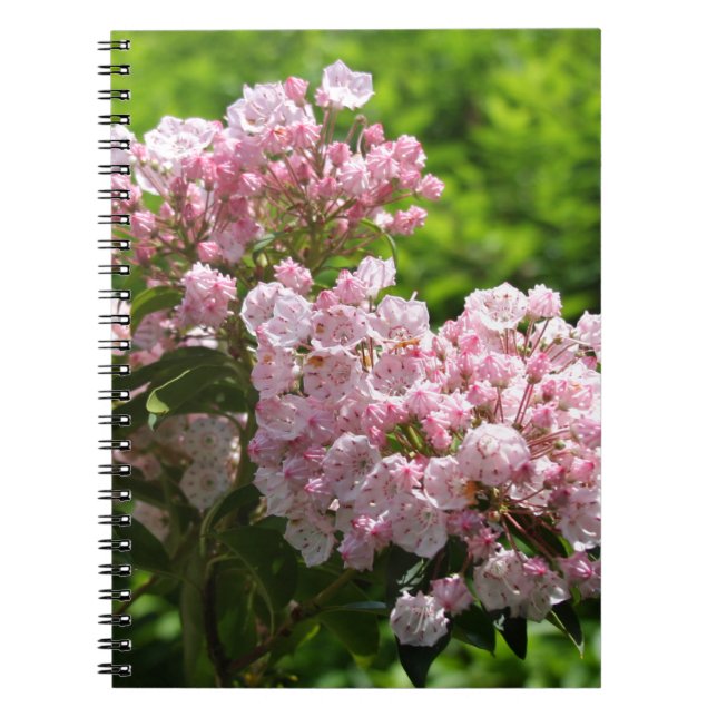 Cuaderno Flores de laurel de la montaña rosa bonito (Frente)
