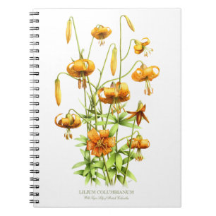 Cuaderno Flores de lirio tigre naranja silvestre diseño bot