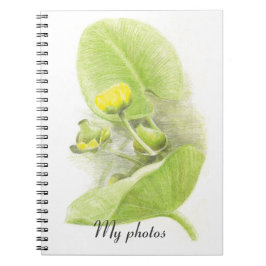 Cuaderno Flores de lirios