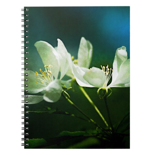 Cuaderno Flores de manzana - Dos flores (Frente)