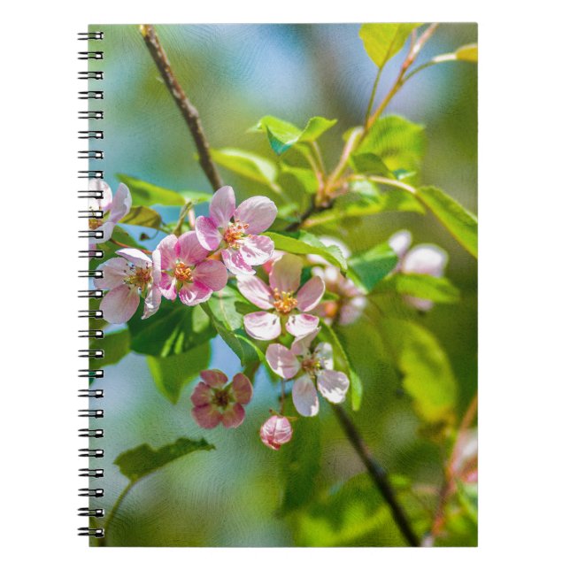 Cuaderno Flores de manzana rosada (Frente)