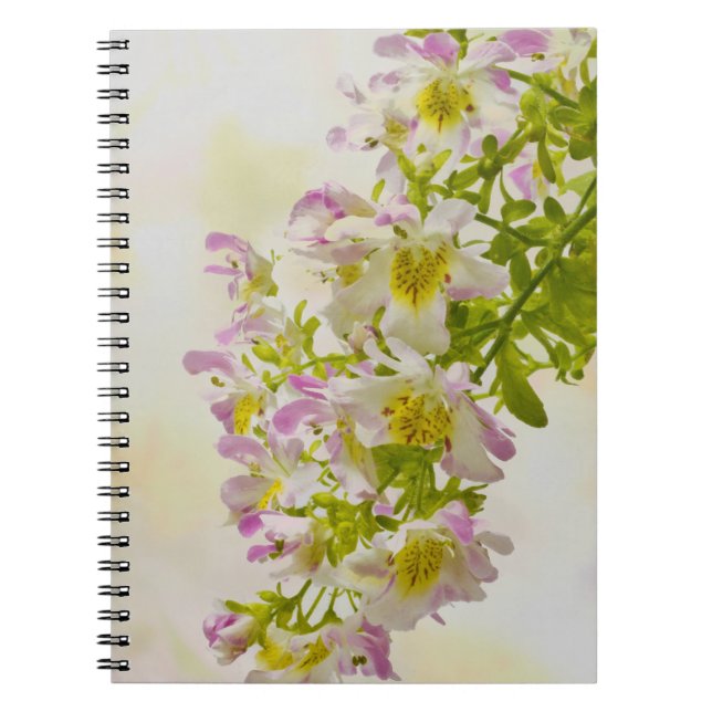 Cuaderno Flores de mariposa (Frente)