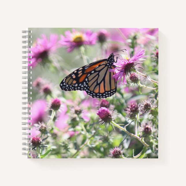 Cuaderno Flores de mariposa y morado (Anverso)
