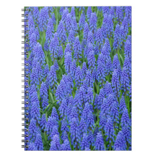 Cuaderno flores de moscari azul bonito