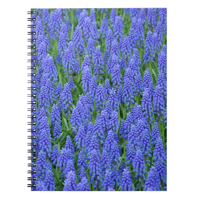Cuaderno flores de moscari azul bonito (Frente)
