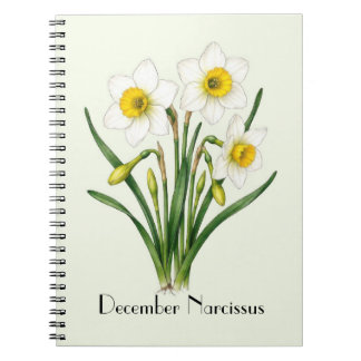 Cuaderno Flores de Narciso de Diciembre