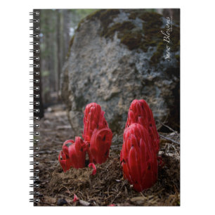 Cuaderno Flores de nieve