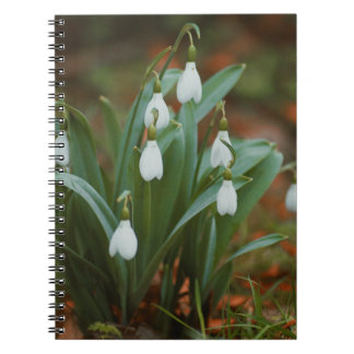 Cuaderno Flores de nieve Bloc de fotos en espiral