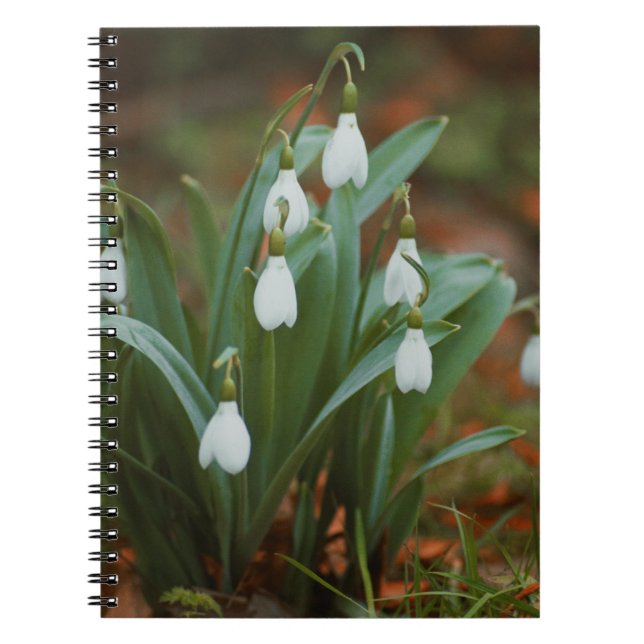 Cuaderno Flores de nieve Bloc de fotos en espiral (Frente)