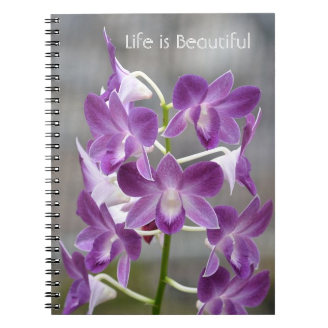 Cuaderno Flores de Orquídea Púrpura Kauai (Frente)
