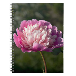 Cuaderno Flores de peonía rosada en primavera