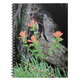 Cuaderno Flores de Pincel de Indio Rojo en el Bosque