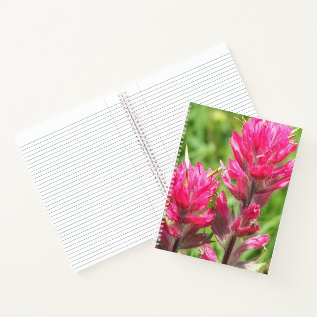 Cuaderno Flores de Pincel Magenta en Flor (Interior)
