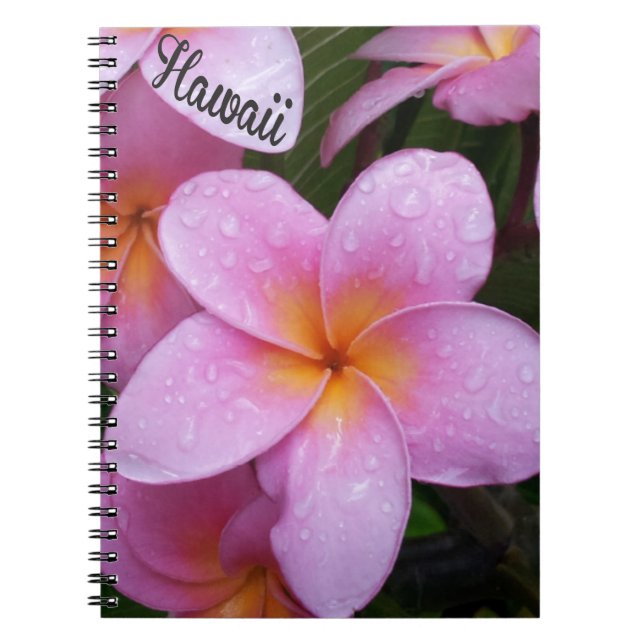 Cuaderno Flores de Plumeria Rosa de Hawái (Frente)