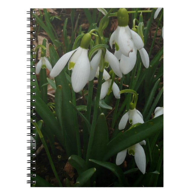 Cuaderno Flores de Primavera Blanca (Galanthus) (Frente)