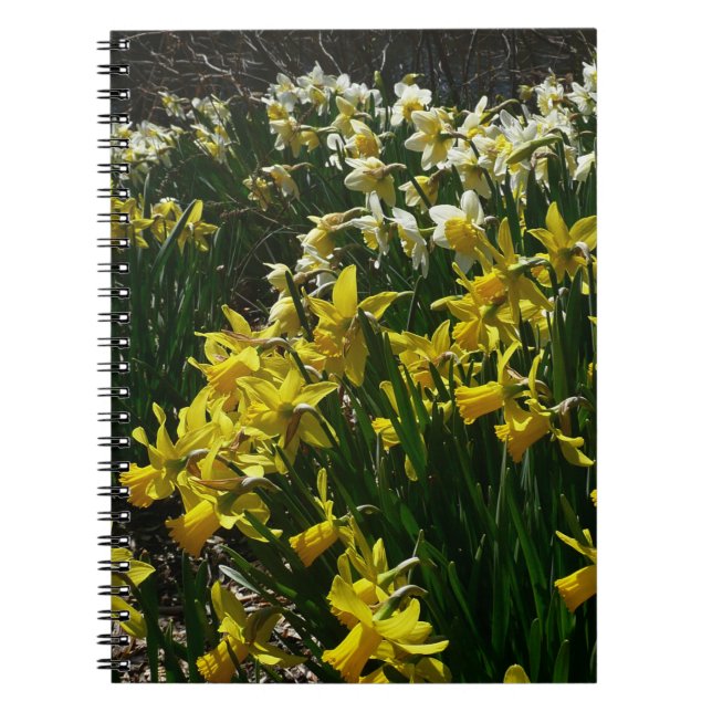 Cuaderno Flores de primavera de los Daffodils amarillos y b (Frente)